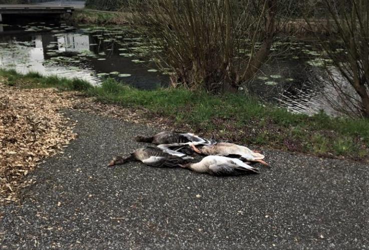 Bij buurtbewoners die zich uitspreken tegen de jacht.