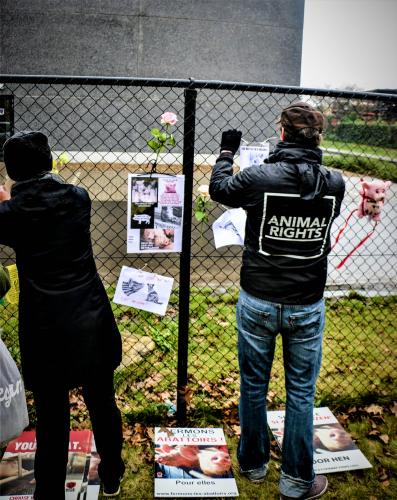 Er werden zelfgemaakte boodschappen opgehangen.