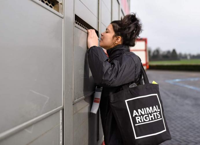 Campagnecoordinator Aysis Plet aanwezig bij een Pig-Save bij een slachthuis, georganiseerd door The Save Movement