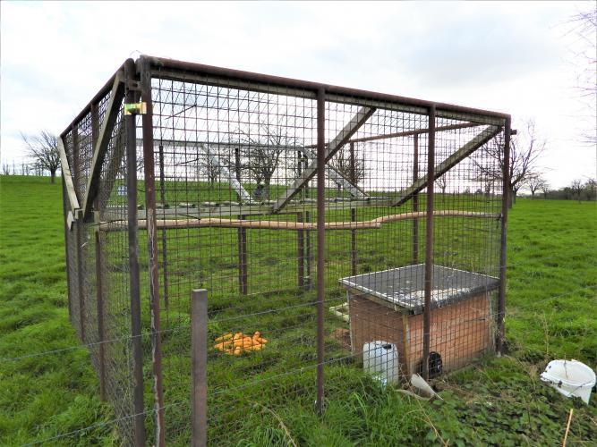 Vogels kunnen vanaf boven in de val vliegen, maar kunnen er daarna niet meer uit.